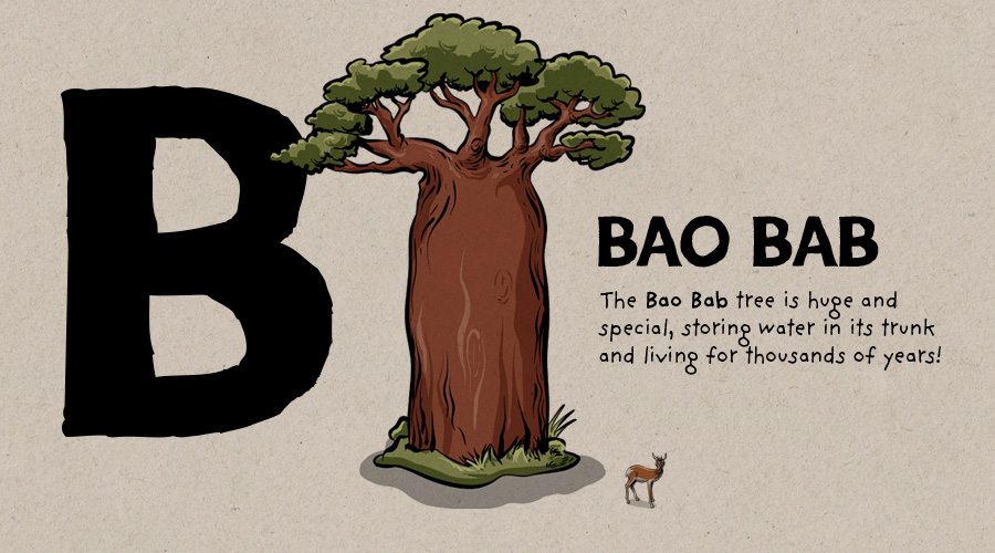 Illustration of a bao bab tree explaining the letter B in a children's book.